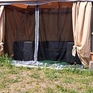 een tent met de deur open in het gras bij Kapteni suvekodu in Laulasmaa