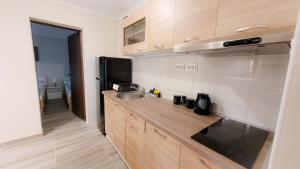 a small kitchen with a sink and a microwave at Vila Nikola in Soko Banja