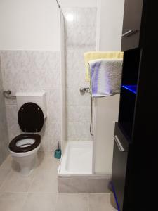 een kleine badkamer met een toilet en een douche bij Paksy Apartman in Harkány