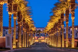 een rij palmbomen versierd met kerstverlichting bij The Westin Lake Las Vegas Resort & Spa in Las Vegas