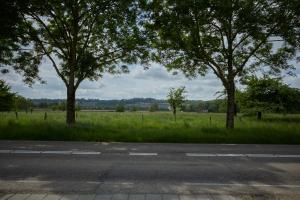 eine leere Straße mit Bäumen auf einem Feld in der Unterkunft B&B Maas en Heuvel Maastricht in Maastricht