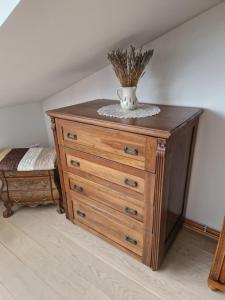 un comò di legno con un vaso sopra di Balassi apartment -with green terrace&bike a Štúrovo