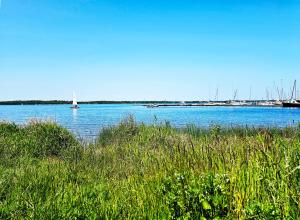 einem Wasserkörper mit einem Segelboot in der Ferne in der Unterkunft Seezeit - gemütliche Ferienwohnung, Tiefgarage, Cospudener See in Markkleeberg