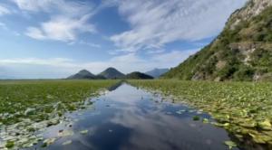 une route traversant un champ d'eau avec des montagnes en arrière-plan dans l'établissement JOCKER, à Virpazar