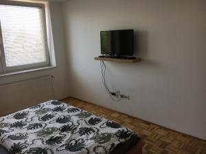 Foto de la galería de Apartma Lunca 2 en Liubliana