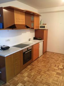 Foto de la galería de Apartma Lunca 2 en Liubliana