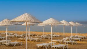 a bunch of chairs and umbrellas on a beach at Club Beyy Resort Hotel - Ultra All Inclusive in Izmir