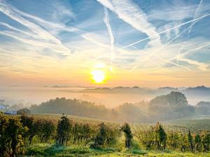 een zonsopgang boven een wijngaard met de zon in de lucht bij Turistična Kmetija Pungračič in Zavrč