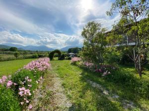 een tuin met roze bloemen in het gras bij Olympus Guest Home 