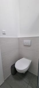 ein Badezimmer mit einem weißen WC und einem Mülleimer in der Unterkunft Vánkoska Apartman Tihany in Tihany