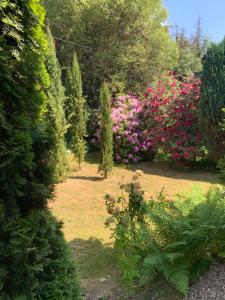 un jardín con flores y árboles rosas y morados en Trusties, en Dirbach