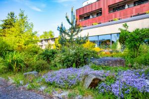 Un jardín fuera de Amenity Hotel & Resort Lipno