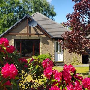 una casa con fiori rosa di fronte di Aviemore Bungalow, Dalfaber ad Aviemore