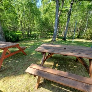 due tavoli da picnic in un parco alberato di Aviemore Bungalow, Dalfaber ad Aviemore