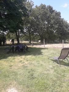 a picnic table and a chair in a field at MADALNY HOUSE in La Garnache