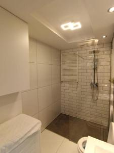 Kopalnica v nastanitvi Apartament Brzeg