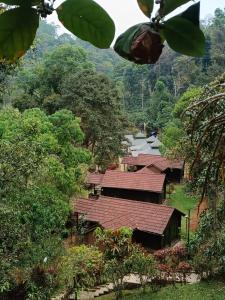 un groupe de bâtiments aux toits rouges et aux arbres dans l'établissement Three Hills Resort Coorg, à Madikeri