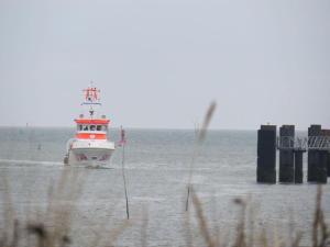 Naturlandskabet i nærheden af lejligheden