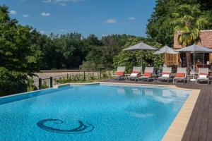 a swimming pool with chairs and umbrellas on a patio at Château De Pray in Amboise