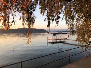 vista su un lago con molo in acqua di Hotel Bad Murtensee a Murten