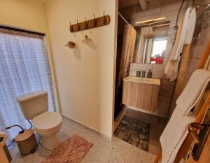 a bathroom with a toilet and a sink at Alkionisnest in Arkoudi