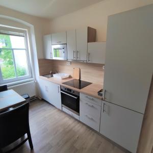 Kuchyň nebo kuchyňský kout v ubytování ApartmentsCarlsbad