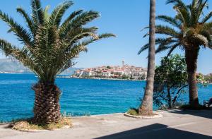 twee palmbomen op een stoep naast een waterlichaam bij Apartments Jasmina in Korčula