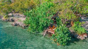 uma vista aérea de uma mesa de piquenique numa praia perto da água em Hotel Islabela Islas Del Rosario em Isla Grande