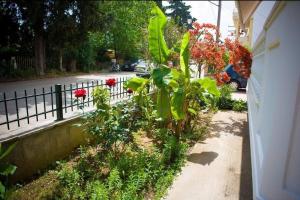 um jardim com flores vermelhas ao lado de uma rua em Meropi Apartment em Preveza