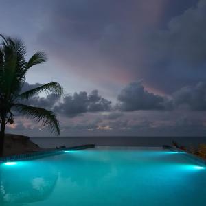 einen Pool mit einer Palme und dem Meer in der Unterkunft Villa Duna Icaraizinho beach front in Icaraí