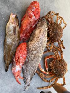 eine Gruppe von Fischen und Krabben auf dem Tisch in der Unterkunft VILLA ALBA ROSULA in Ajaccio