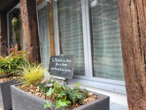 un panneau devant une fenêtre avec des plantes dans l'établissement LES REMPARTS DU JERZUAL, à Dinan