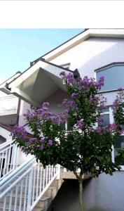 un arbre devant un bâtiment avec des fleurs violettes dans l'établissement Villa Predlug, à Čapljina