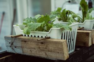 Foto de la galería de Ödevata Gårdshotell en Emmaboda