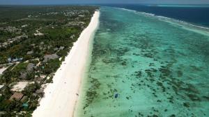 eine Luftansicht auf den Strand und das Meer in der Unterkunft Sunny Villa Matemwe in Matemwe