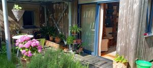 ein Haus mit Topfpflanzen an der Haustür in der Unterkunft Chambre avec terrasse Chez Anne in Rennes