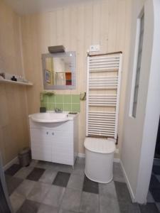 ein Badezimmer mit einem Waschbecken, einem WC und einem Spiegel in der Unterkunft Chambre avec terrasse Chez Anne in Rennes