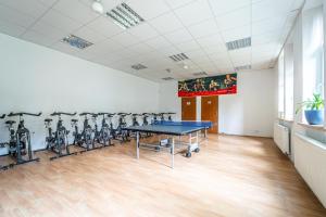 Gimnasio o equipo deportivo en Hotel Sepetná