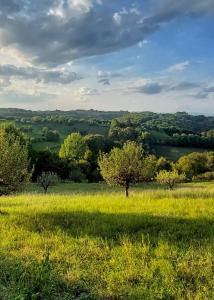 un prato con un albero al centro di Landrasthaus Maria Bild a Maria Bild