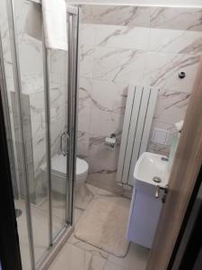 La salle de bains est pourvue d'une douche, de toilettes et d'un lavabo. dans l'établissement Apartmany Železná Ruda, à Železná Ruda