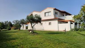 uma casa com um jardim verde em frente em Sa Jacca Albergo Rurale em Siniscola