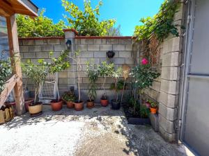 a bunch of plants in pots on a brick wall at Guest House Italia in Kavarna