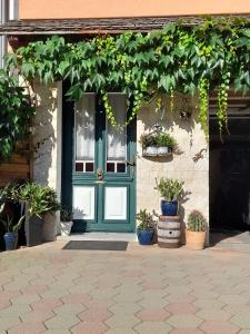 een groene deur op een huis met potplanten bij Haus Frey in Altaussee