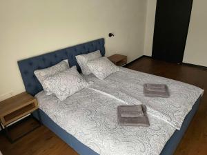 Bett mit blauem Kopfteil und Kissen darauf in der Unterkunft Carlo Apartments in Birštonas