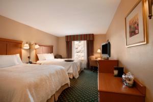 una camera d'albergo con due letti e una finestra di Hampton Inn Canon City a Canon City