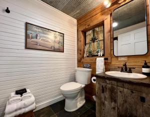 a bathroom with a toilet and a sink at Glass Cabin in Eureka Springs