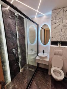 uma casa de banho com um WC, um chuveiro e um lavatório. em Princ Lux Spa with free parking em Novi Sad