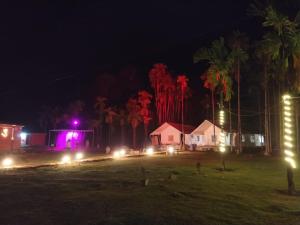 a group of houses at night with lights at Trident Jungle Stay in Dandeli