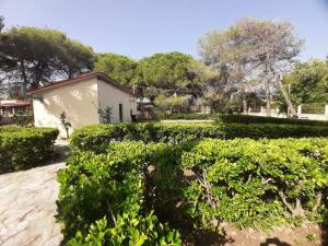 een tuin met groene struiken voor een gebouw bij Yannis Villa in Katarrákhion