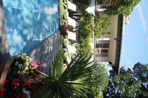 a building with plants next to a swimming pool at Hotel Tamaro in Ascona